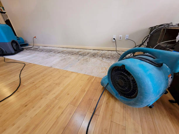 Professional Sewage Cleanup technician working in Urbandale, IA